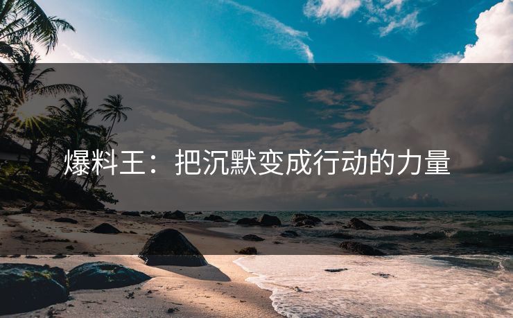 爆料王：把沉默变成行动的力量