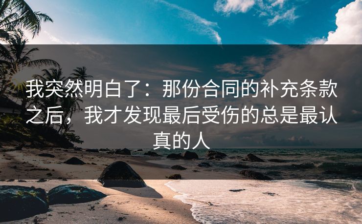 我突然明白了：那份合同的补充条款之后，我才发现最后受伤的总是最认真的人