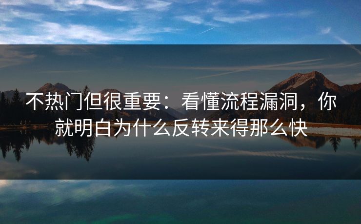 不热门但很重要：看懂流程漏洞，你就明白为什么反转来得那么快
