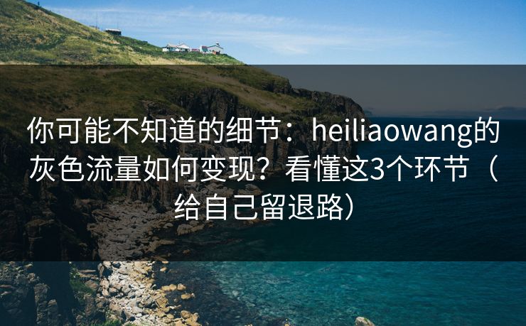 你可能不知道的细节：heiliaowang的灰色流量如何变现？看懂这3个环节（给自己留退路）